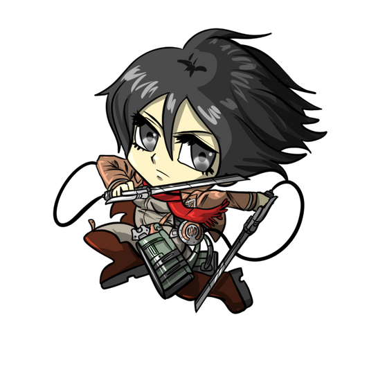 Mikasa 8